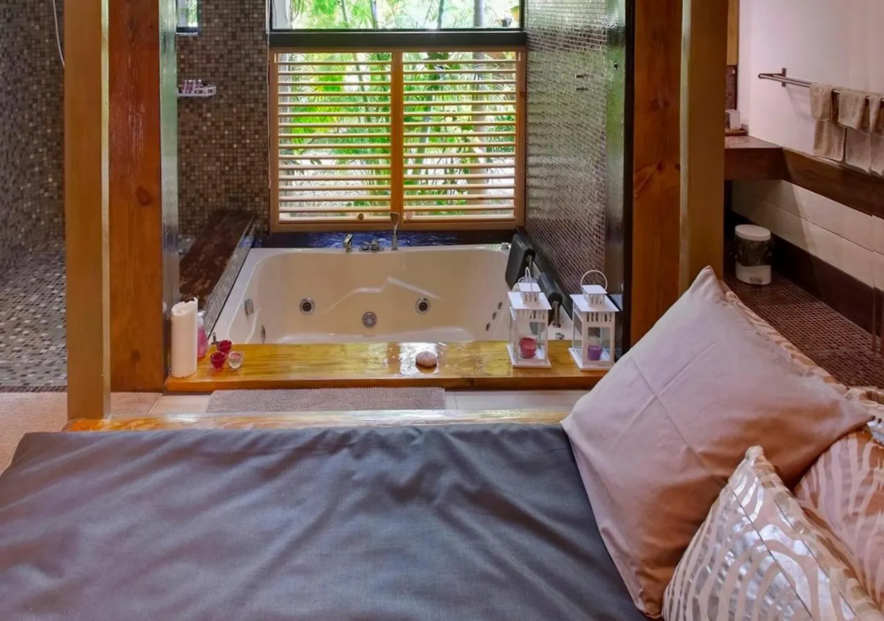 Chaykovski Boutique H Las Terrenas Hotel